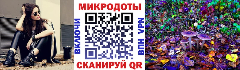 Псилоцибиновые грибы MAGIC MUSHROOMS  сколько стоит  OMG   Тында 
